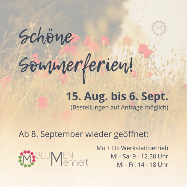 Mehnert Sommerferien 2025
