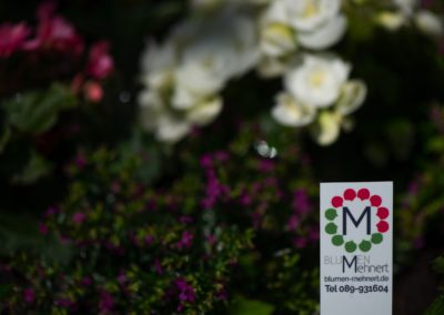 Grabpflegeservice Blumen Mehnert
