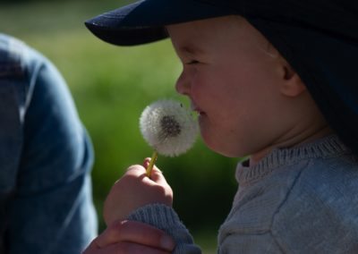 Kind mit Pusteblume